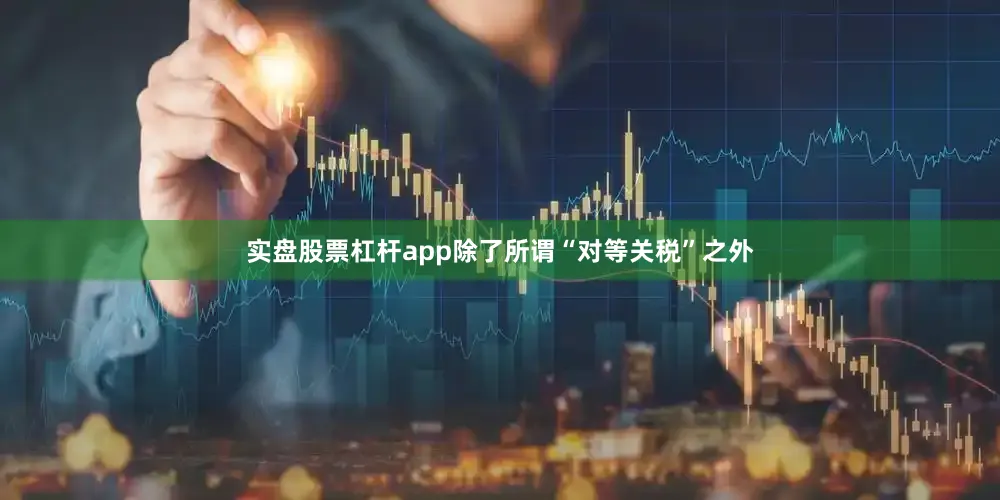 实盘股票杠杆app　　除了所谓“对等关税”之外