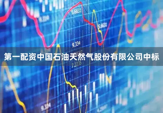 第一配资中国石油天然气股份有限公司中标